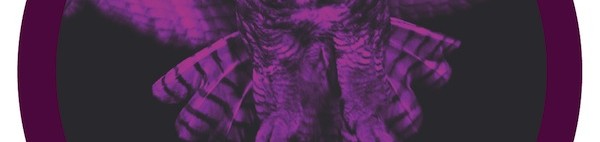 Chimp Beams Split 7″ Series “Chimp Beams VS ZEB” CPSV-001