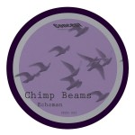 Chimp_Beams_Split_CPSV-002_A-Side_1
