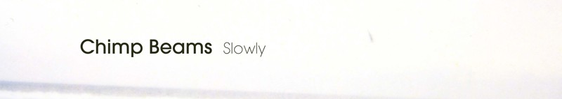 Chimp Beams Slowly 2LP